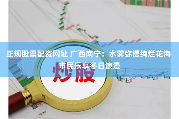 正规股票配资网址 广西南宁：水雾弥漫绚烂花海 市民乐享冬日浪漫